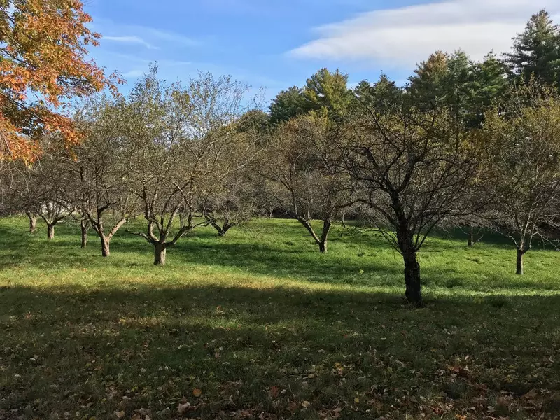 00 Pendexter RD, Parsonsfield, ME 04047