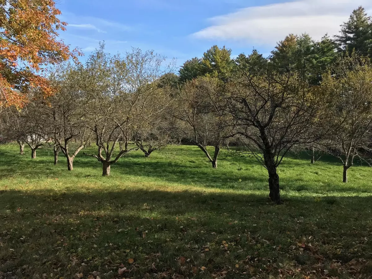 Parsonsfield, ME 04047,00 Pendexter RD