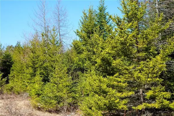 Tremont, ME 04653,005 Southeast Creek DR