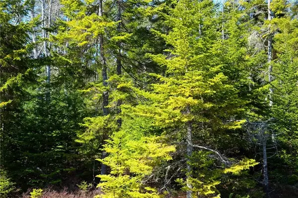 Tremont, ME 04653,006 Southeast Creek Drive