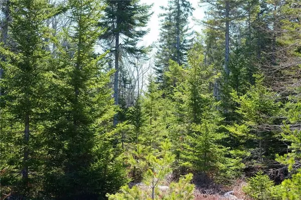 Tremont, ME 04653,007 Southeast Creek Drive