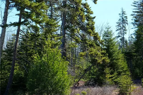 Tremont, ME 04653,010 Bass Harbor Woods Road