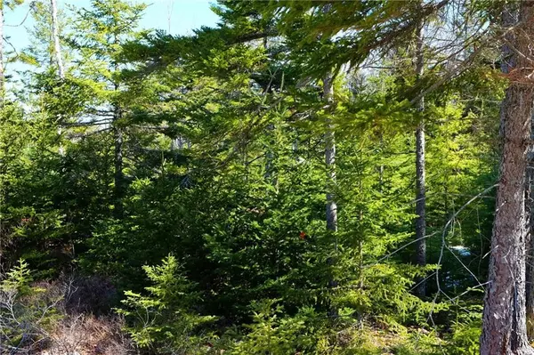 Tremont, ME 04653,011 Bass Harbor Woods Road