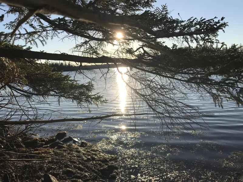 Lot 27 Coffins Neck RD, Lubec, ME 04652