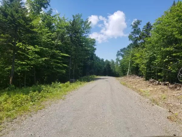 Greenville, ME 04441,Lot 12 Black Bear EXT