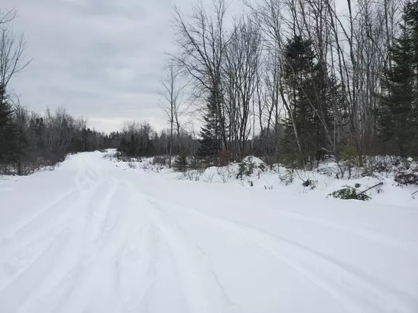 Maxfield, ME 04453,off North Howland RD