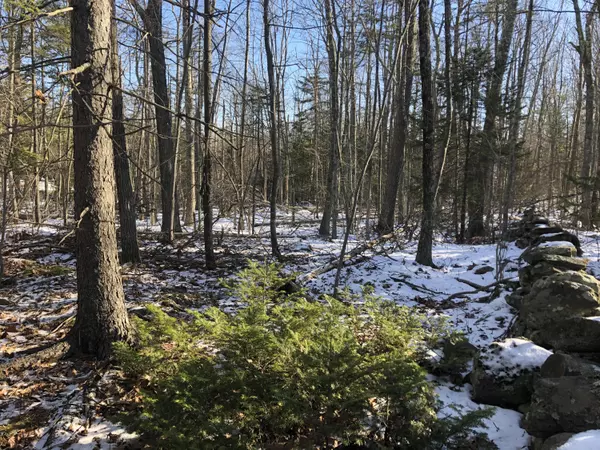 Rockport, ME 04856,Lot 11 Sea Light LN