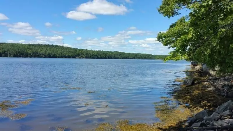 Orland, ME 04472,473 Leaches Point RD