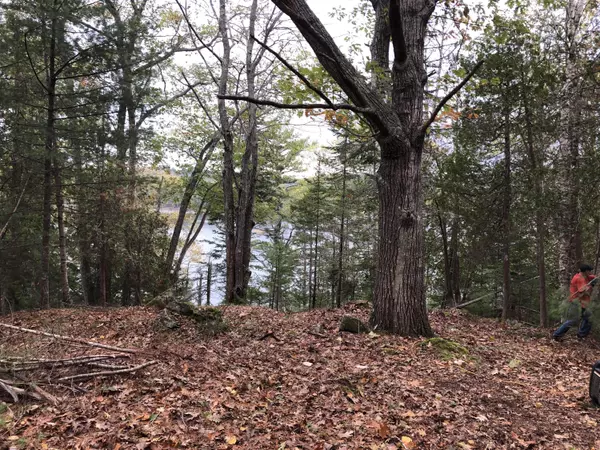 Orland, ME 04472,473 Leaches Point RD