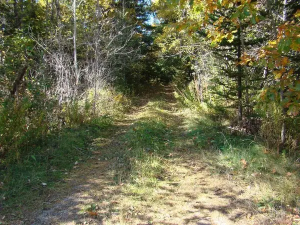 Orland, ME 04472,473 Leaches Point RD