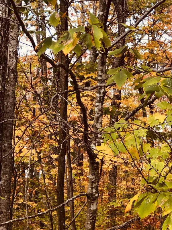 Greenville, ME 04441,Lot 12 Hilltop DR