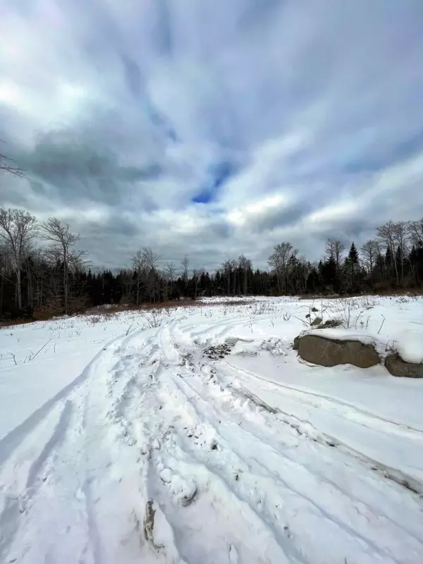 Greenville, ME 04441,Lot 14 Black Bear EXT