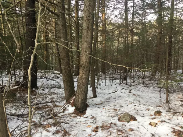 West Gardiner, ME 04345,Lot 5 Wentworth Cove RD