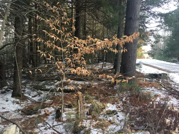 West Gardiner, ME 04345,Lot 5 Wentworth Cove RD