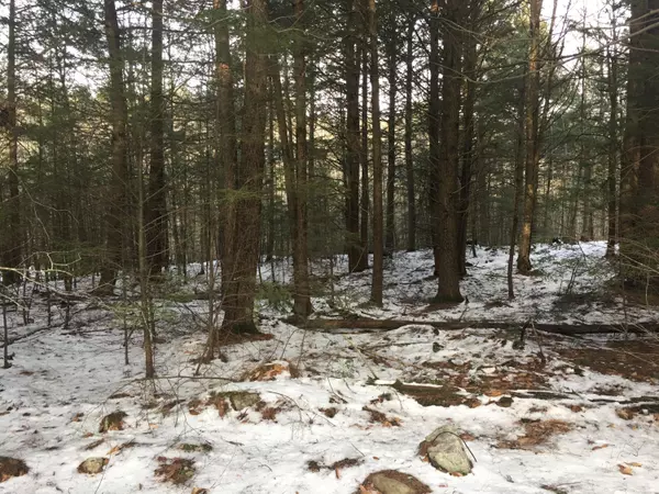 West Gardiner, ME 04345,Lot 5 Wentworth Cove RD