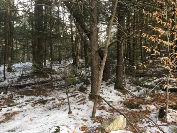 West Gardiner, ME 04345,Lot 5 Wentworth Cove RD