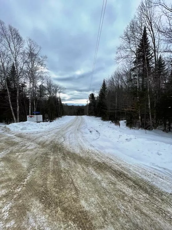 Greenville, ME 04441,Lot 13 Black Bear EXT