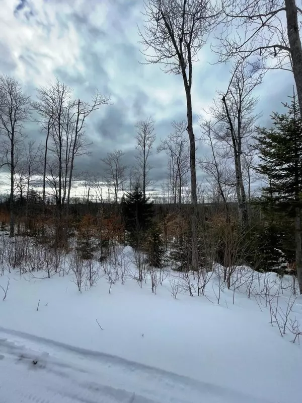 Greenville, ME 04441,Lot 13 Black Bear EXT