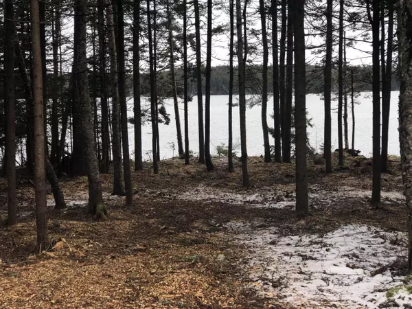 Steuben, ME 04680,6 Black Bear Trail