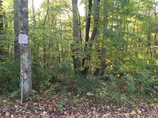 Newport, ME 04953,TBD Murray RD