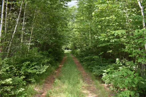 Howland, ME 04448,Lot 1 Run-Around LN