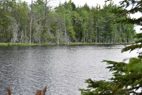 Lot 2 Run-Around LN, Howland, ME 04448