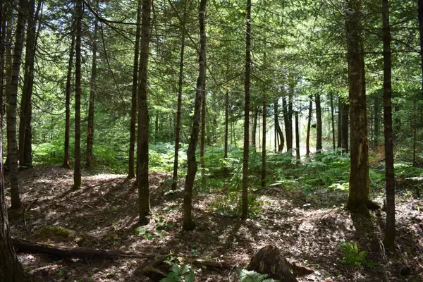 Howland, ME 04448,Lot 3 Run-Around LN