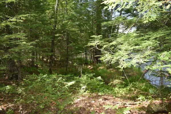 Howland, ME 04448,Lot 4 Run-Around LN