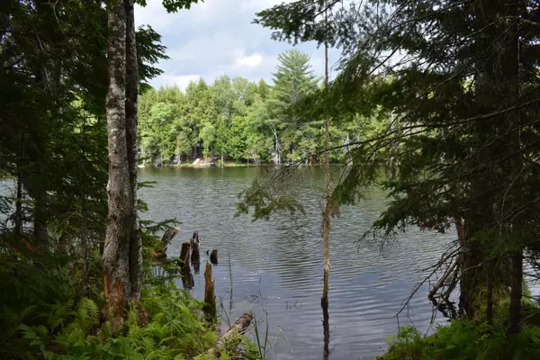 Howland, ME 04448,Lot 4 Run-Around LN