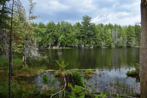 Howland, ME 04448,Lot 5 Run-Around LN