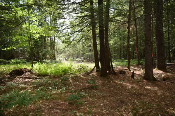 Howland, ME 04448,Lot 5 Run-Around LN