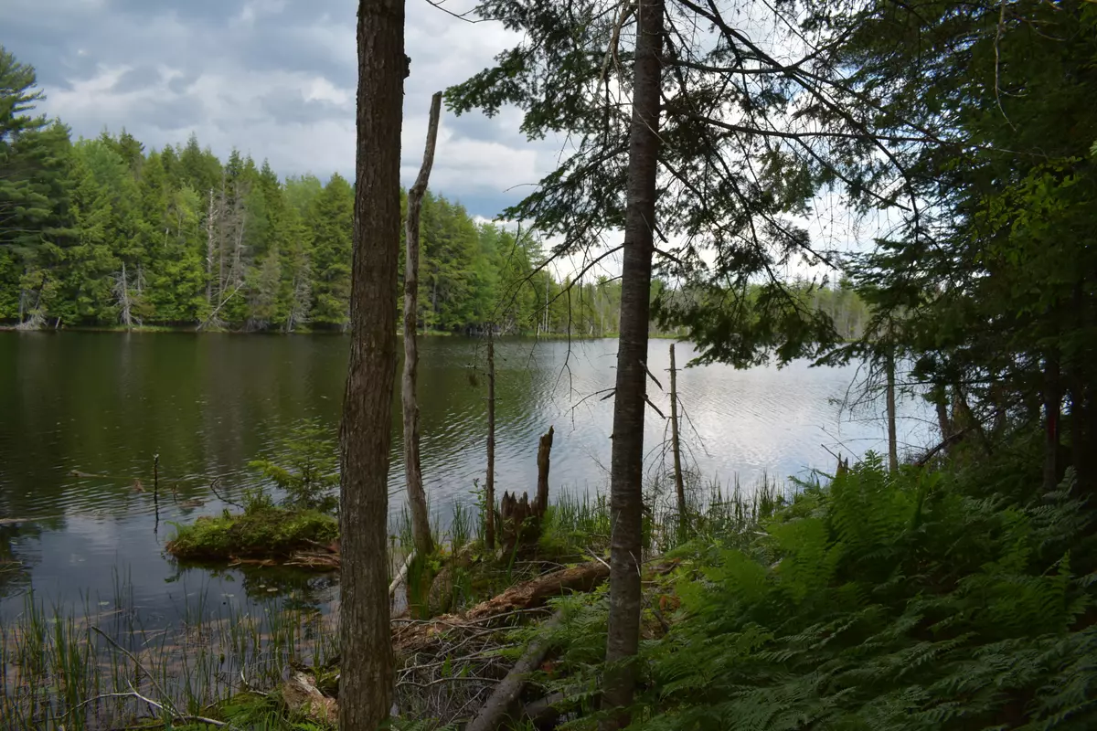 Howland, ME 04448,Lot 5 Run-Around LN