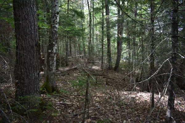Howland, ME 04448,Lot 6 Run-Around LN