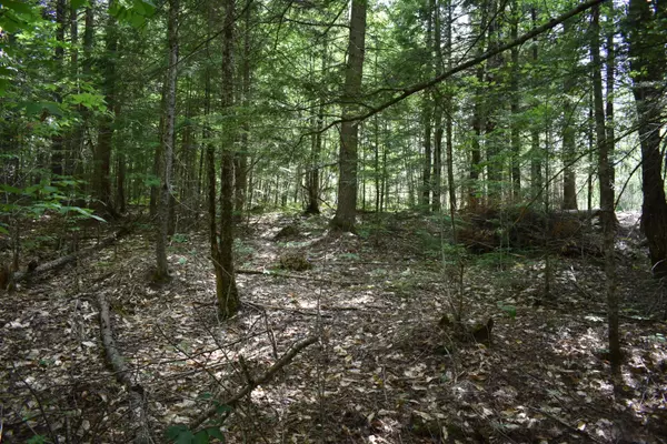 Howland, ME 04448,Lot 6 Run-Around LN
