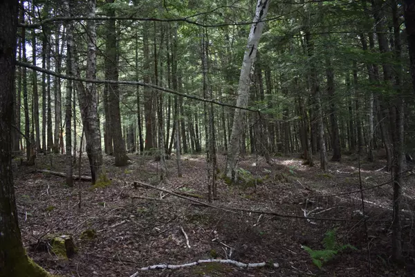 Howland, ME 04448,Lot 7 Run-Around LN