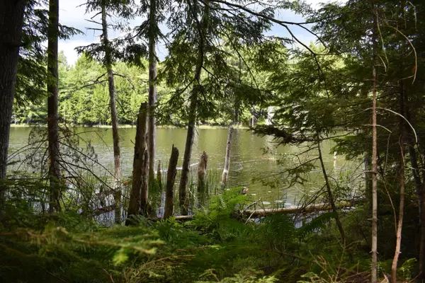 Howland, ME 04448,Lot 7 Run-Around LN