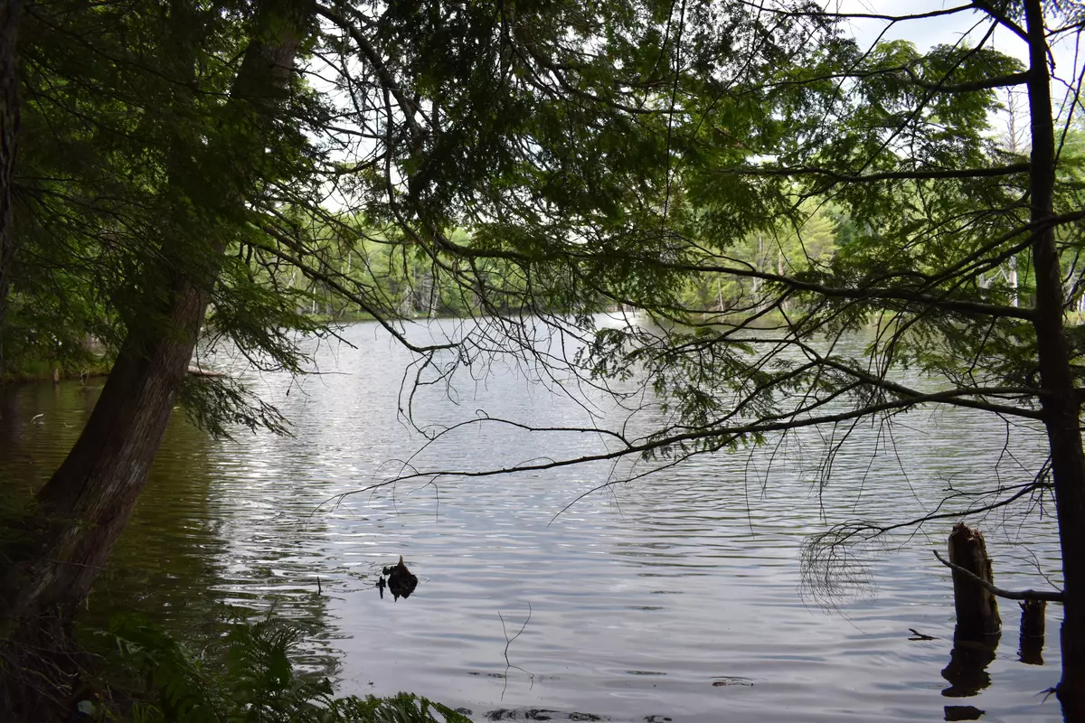 Howland, ME 04448,Lot 8 Run-Around LN