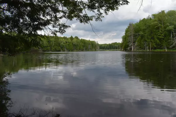 Lot 10 Run-Around LN, Howland, ME 04448