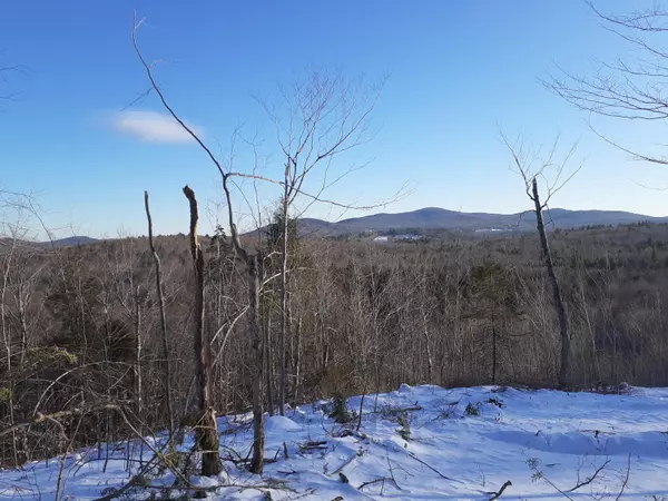 Sumner, ME 04292,0 Hood Valley TRL