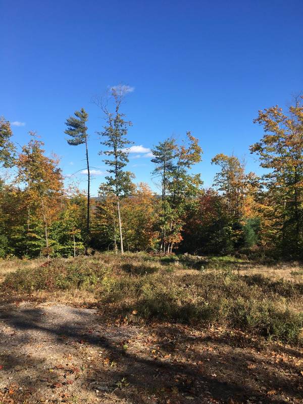 Lot 15A Del Chadbourne RD, Bridgton, ME 04009