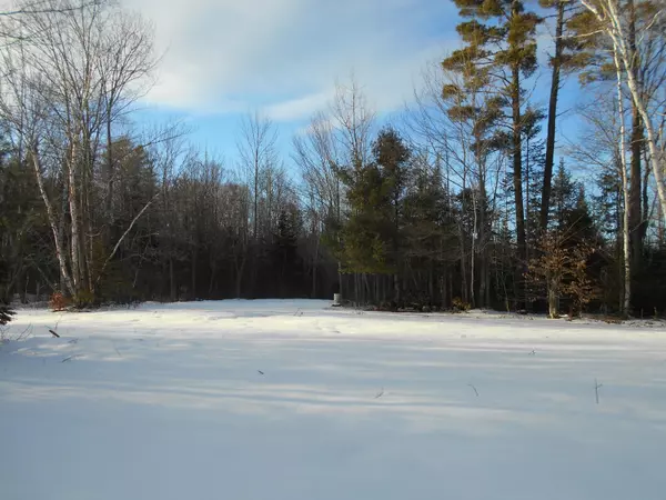 Hudson, ME 04449,450 west old town RD