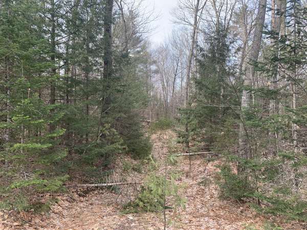 Lot 6 Hickory DR, Woodstock, ME 04219