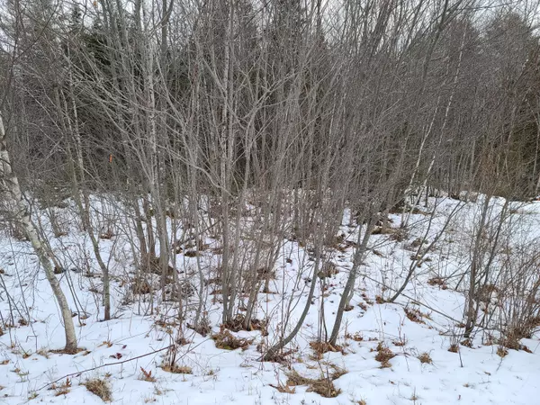 Frankfort, ME 04438,1 oak ridge DR