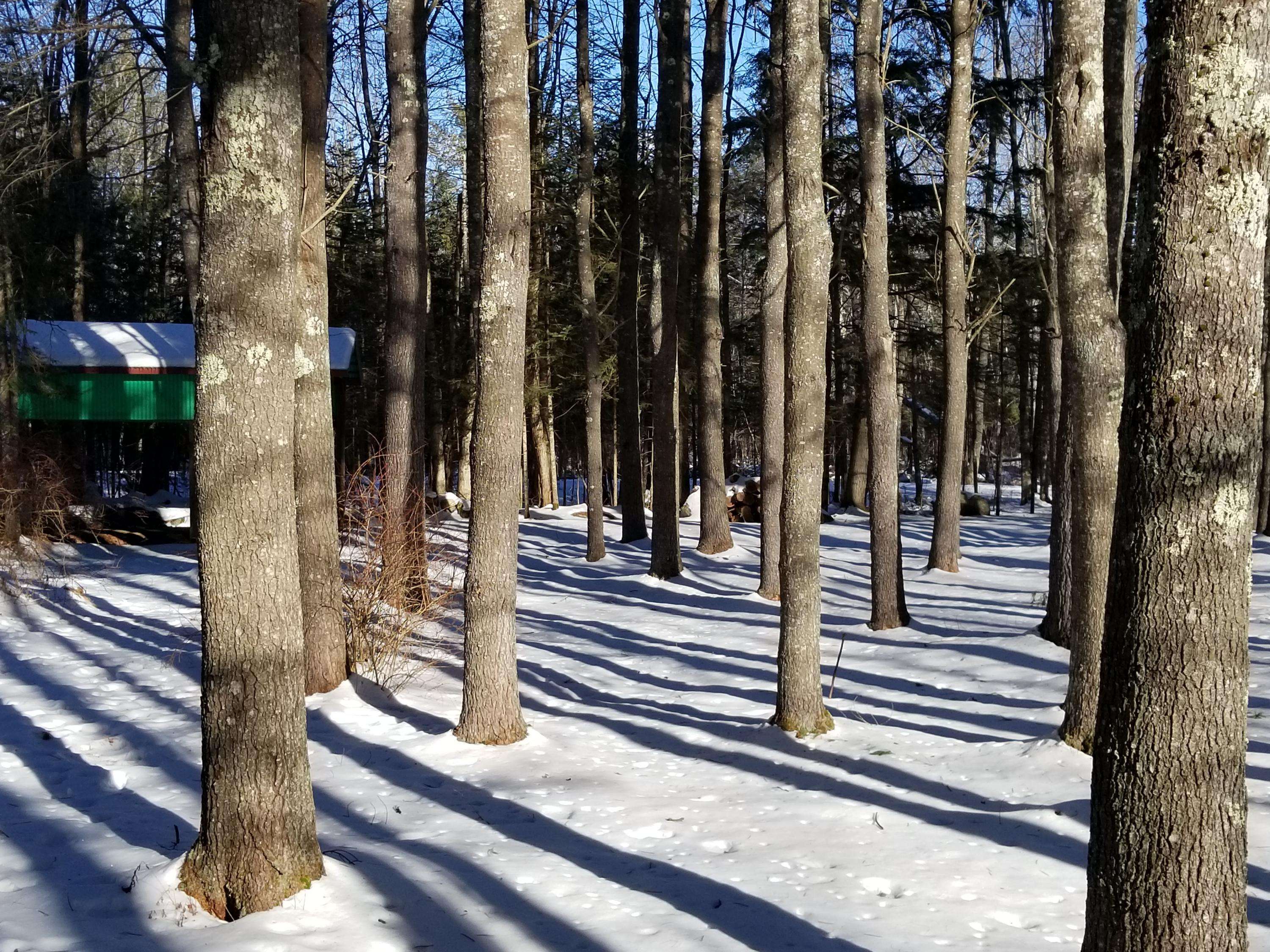 Buckfield, ME 04220,70 Old Sumner RD