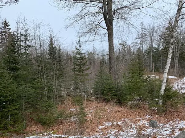 Saint George, ME 04860,0 Seal Harbor RD