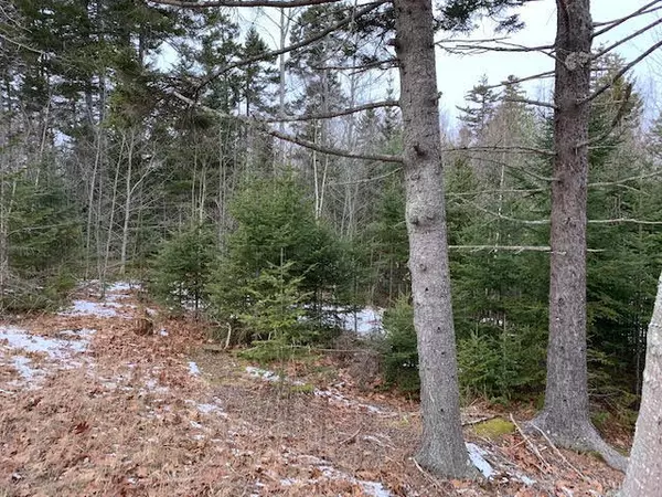 Saint George, ME 04860,0 Seal Harbor RD