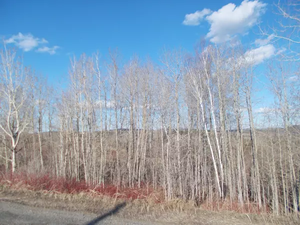 Fort Fairfield, ME 04742,326 Limestone RD