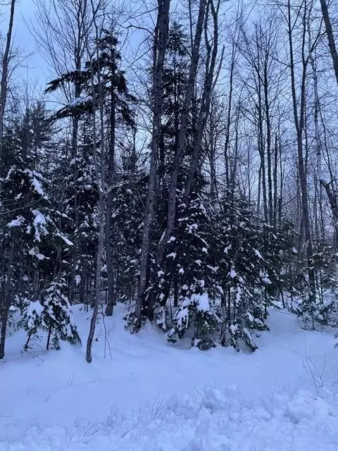 0 Mount Blue Pond RD, Avon, ME 04966
