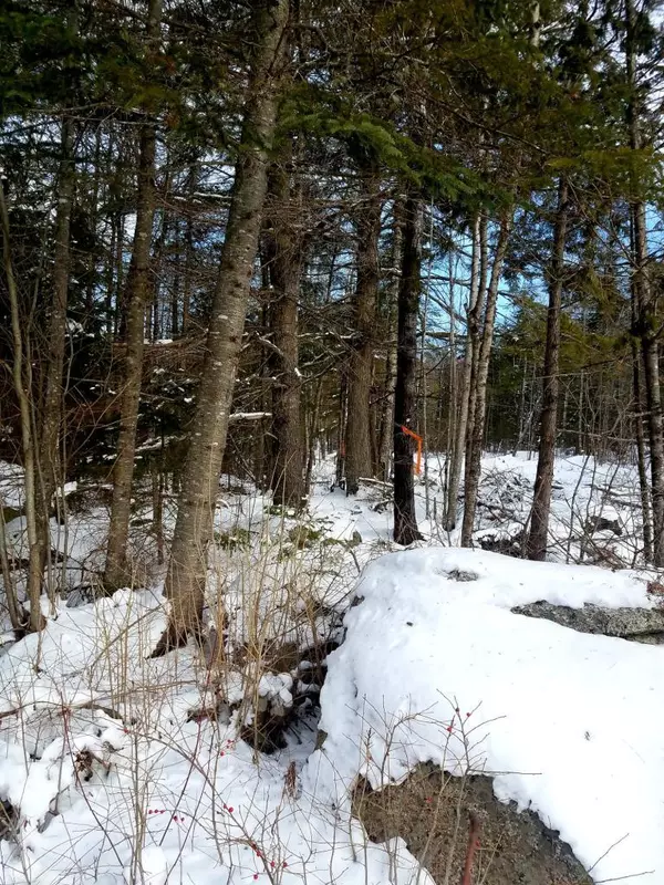 Lot #3 Old Belfast Rd, Frankfort, ME 04438