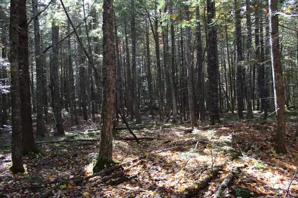 Northfield, ME 04654,Lot 6 Two Lakes DR